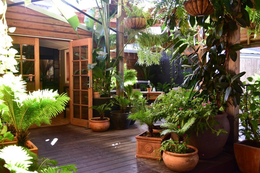 Macleay Cottage With Plunge Pool And Local Arts Dubbo Exterior foto